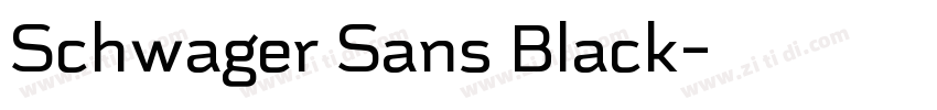 Schwager Sans Black字体转换
